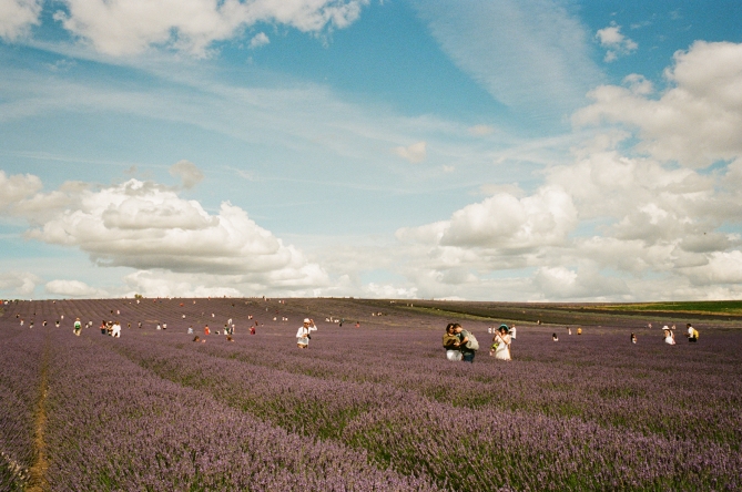 Yulia Lebedeva This could be us: Provence, 2021 