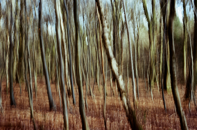 Through a Layered Path, 2025