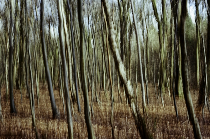 Through a Layered Path, 2025